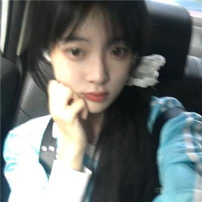 小犬与女孩
